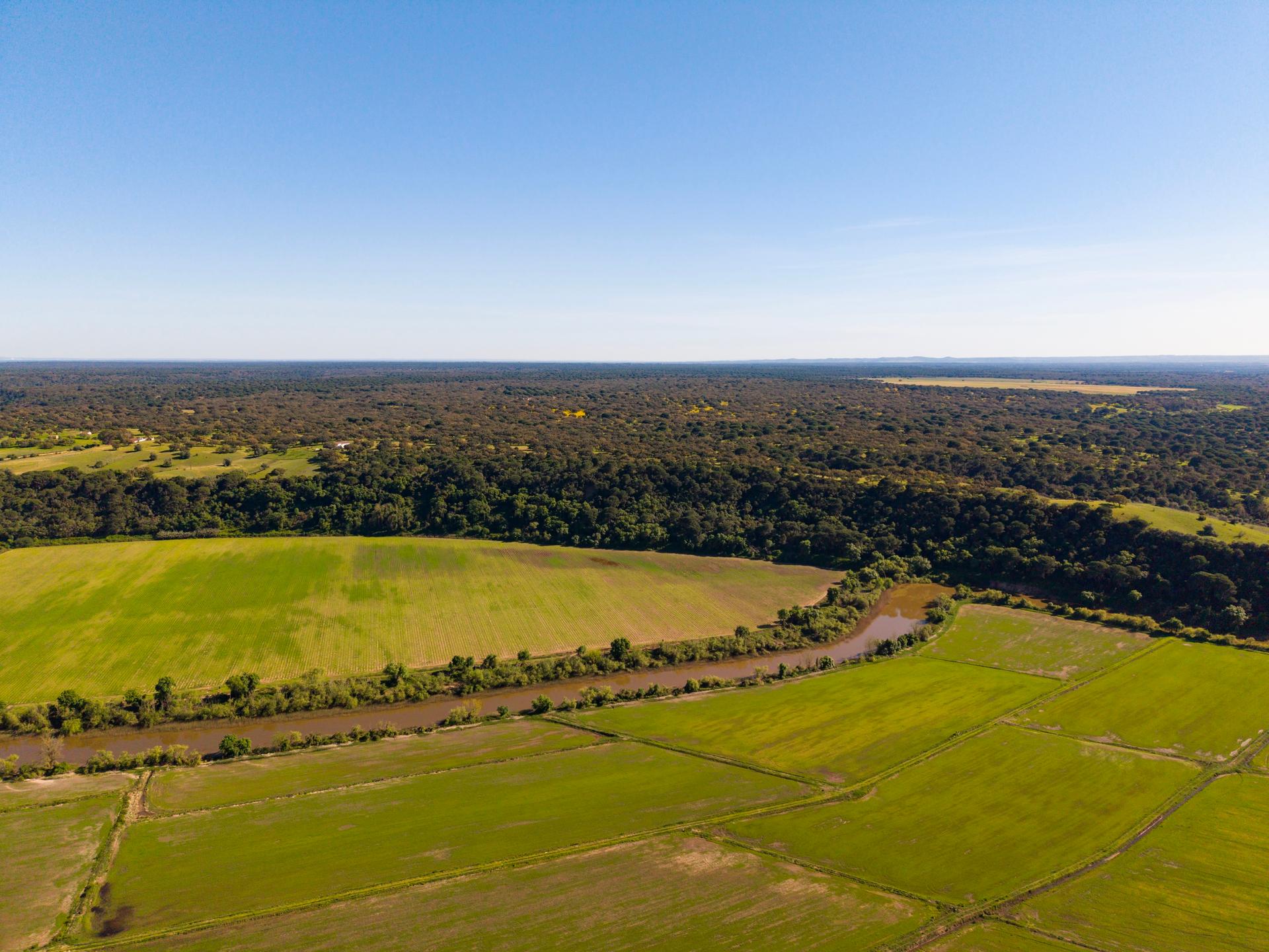 Land in Alcácer do Sal (96043) — photograph 4