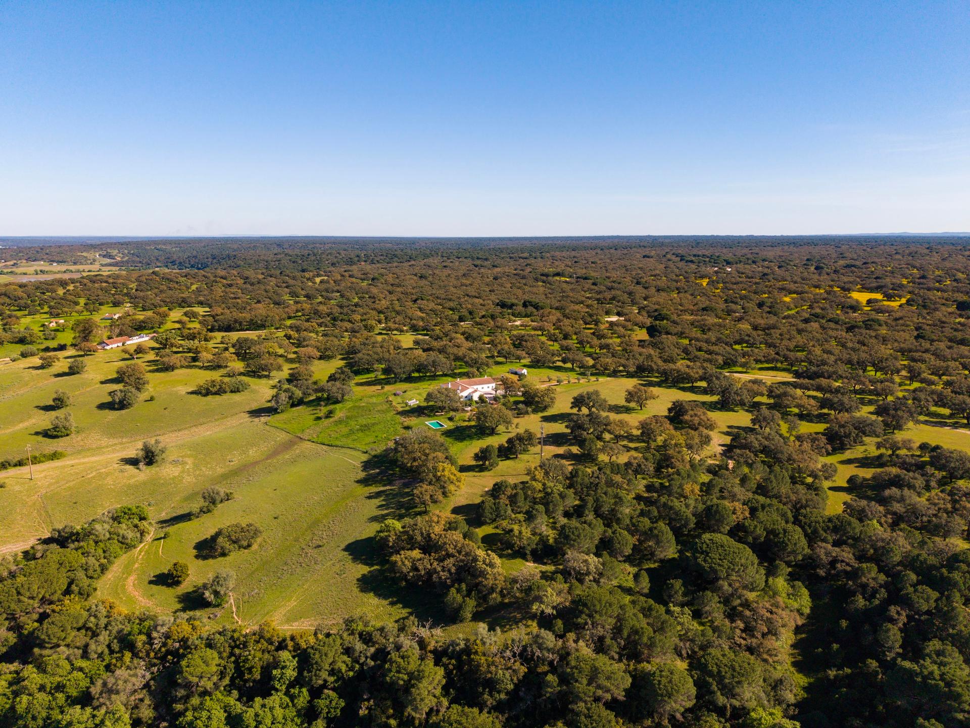 Land in Alcácer do Sal (96043) — photograph 5