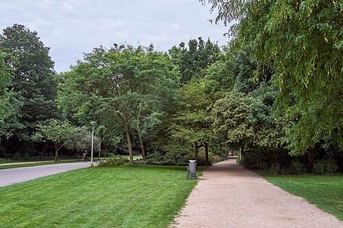 Oud-Zuid
